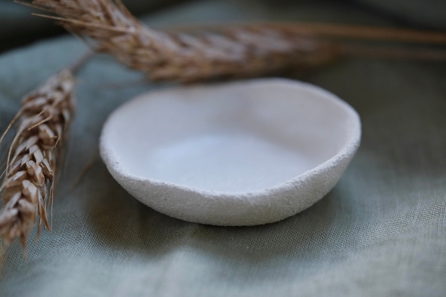 Small coral dish - handmade ceramic plate