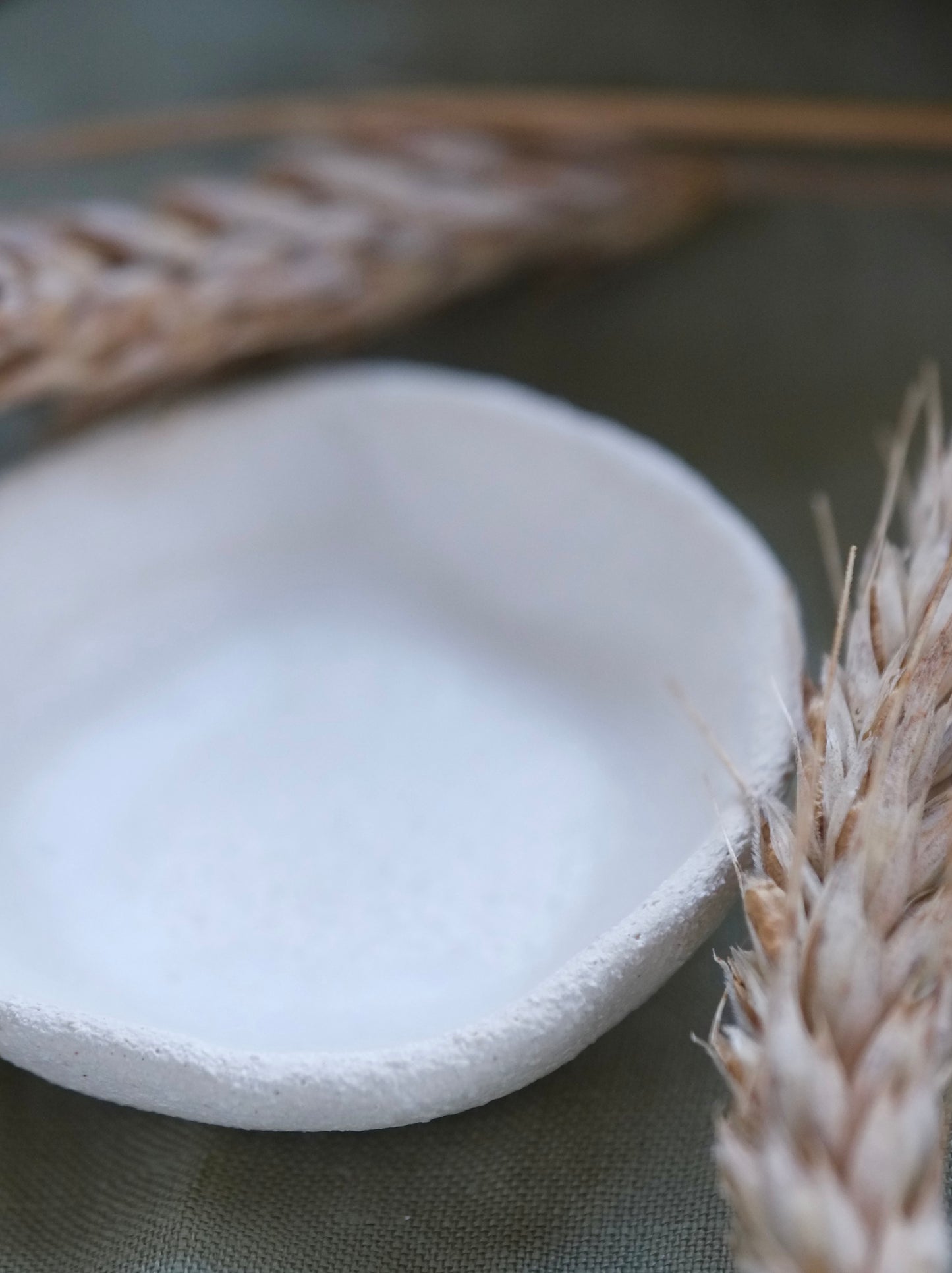 Small coral dish - handmade ceramic plate